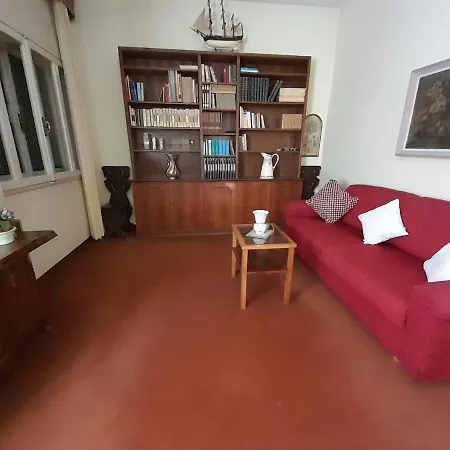 Apartment Brand New Opening 