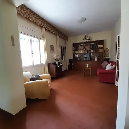 Apartment Brand New Opening 