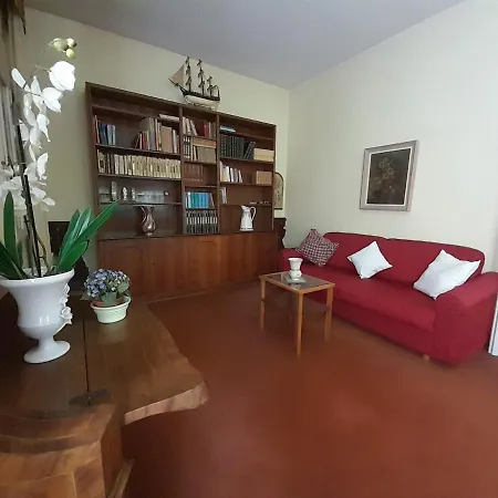Apartment Brand New Opening 